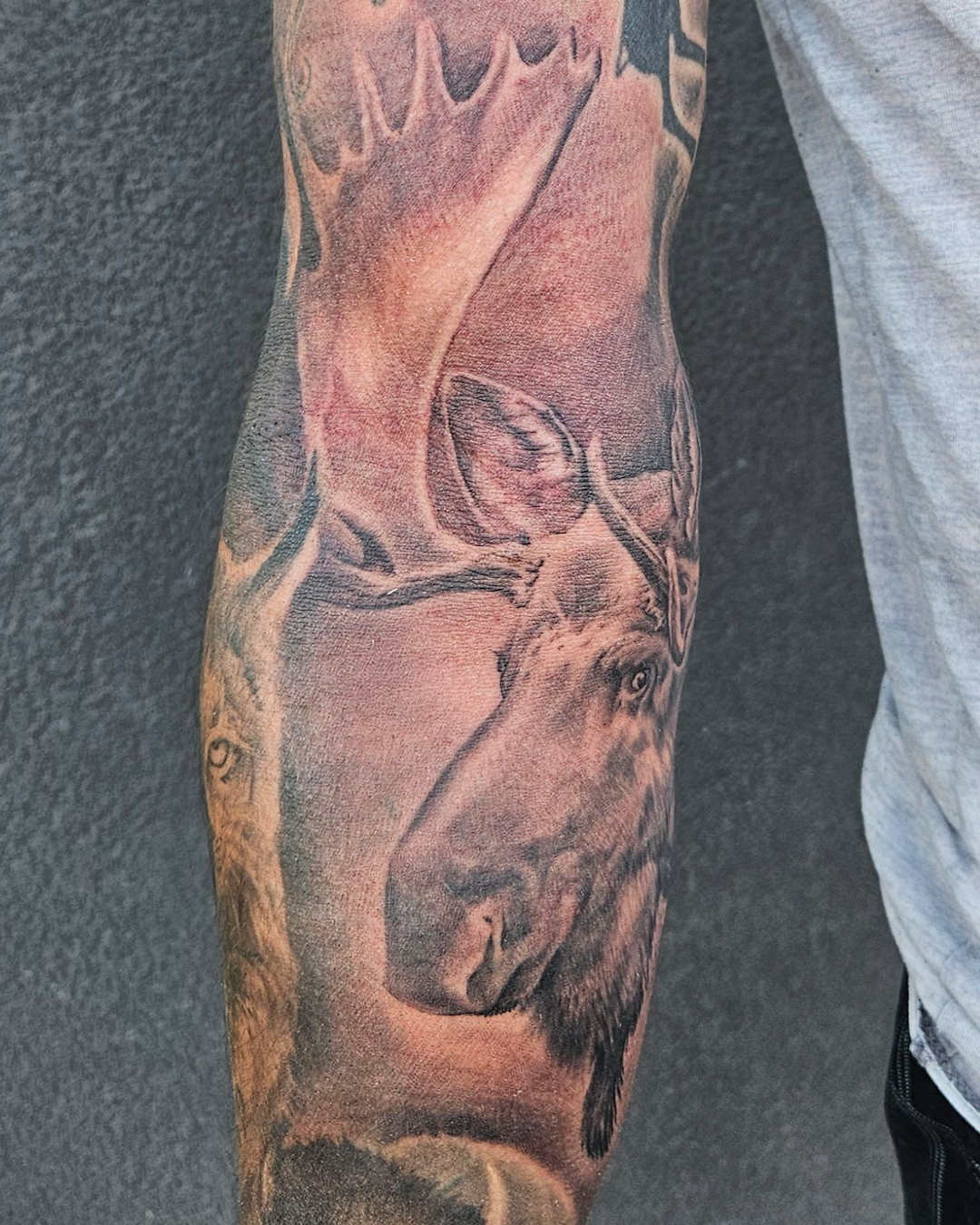 Moose Add-on — Clay Walker Moose Add-on — Clay Walker