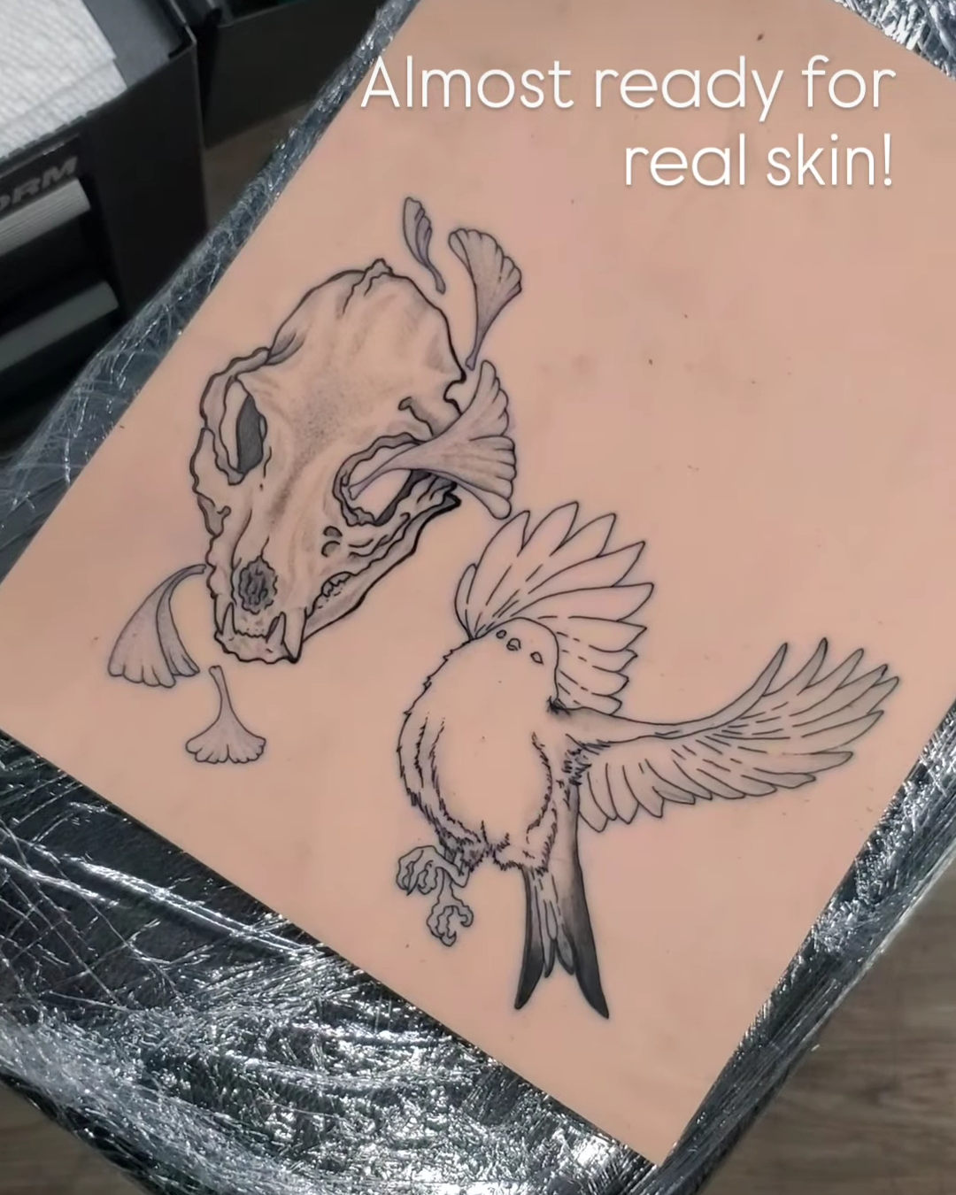 Almost Ready for Real Skin — Danny Cattington