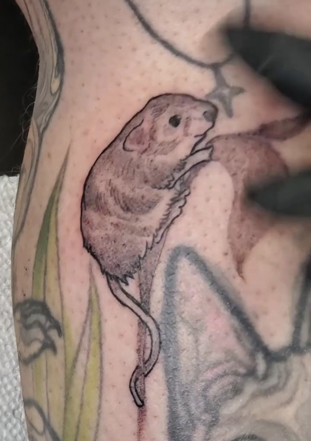 First Tattoo on Human Skin — Danny Cattington