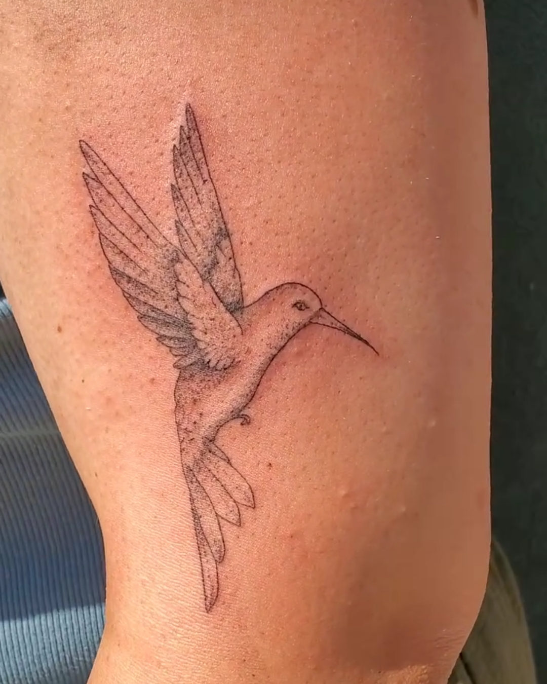 Bird Tattoo — Jenessa Jones Bird Tattoo — Jenessa Jones