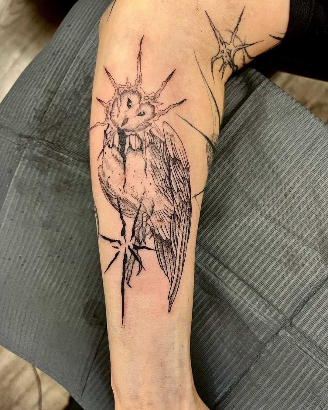 Owl from Flash — Jenessa Jones Owl from Flash — Jenessa Jones