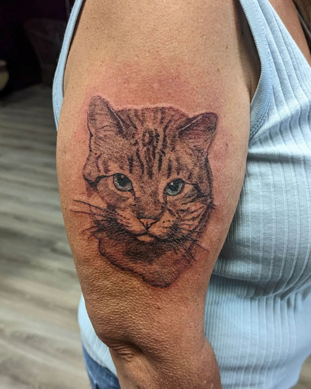 Cat Portrait — Jess Adlaide
