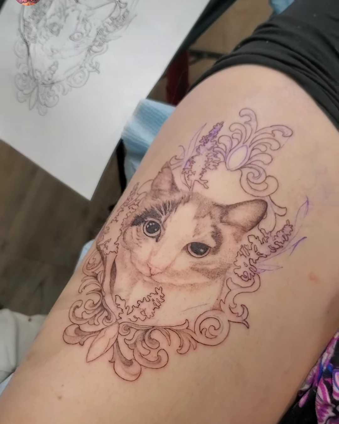 Cat from Flash — Jess Adlaide