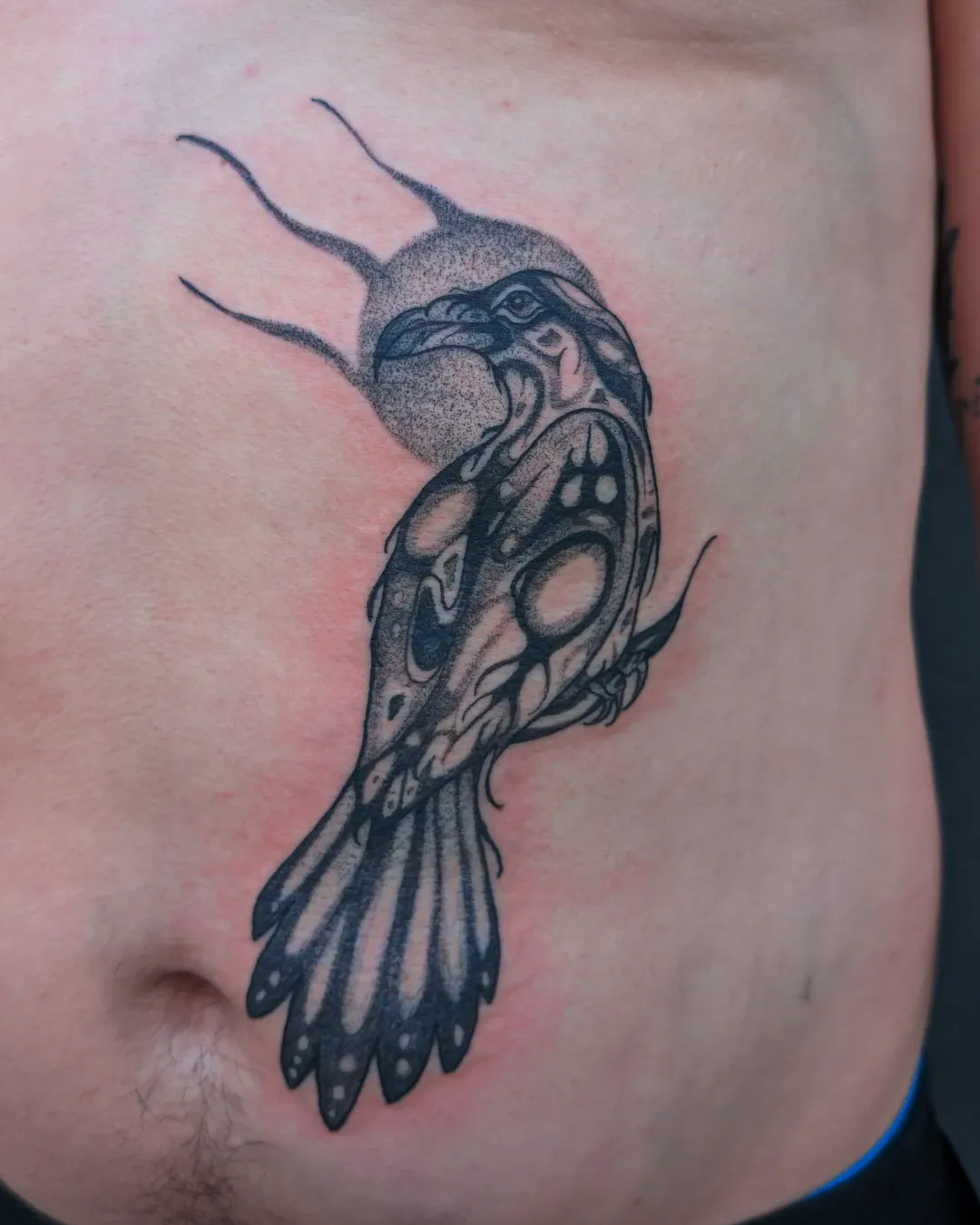 First Nations Raven — Jess Adlaide