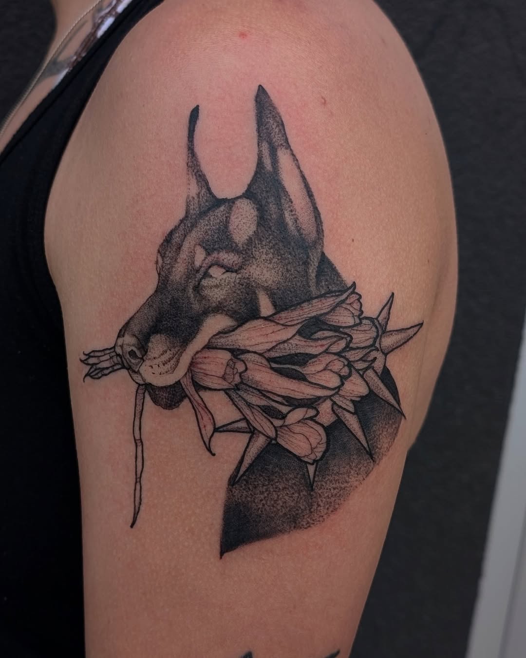 Dobermann — Jess Adlaide