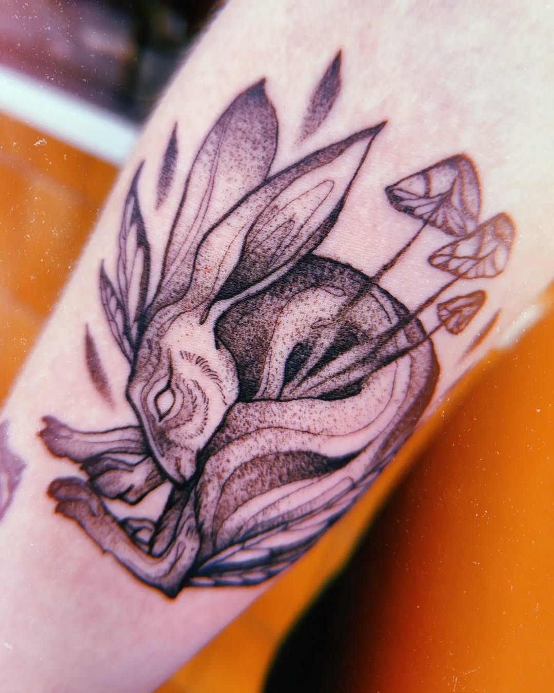 Lil Bun — Jess Adlaide