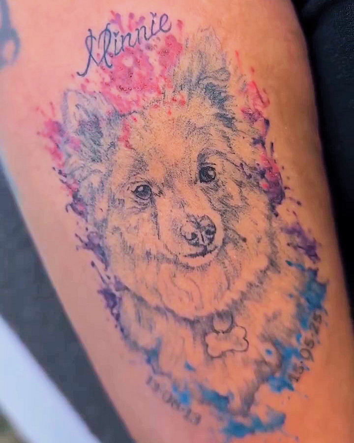 Lil Pet Portrait of Minnie — Jess Adlaide