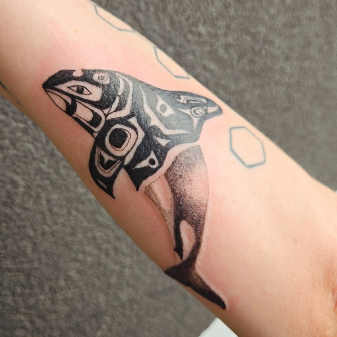 Orca — Jess Adlaide