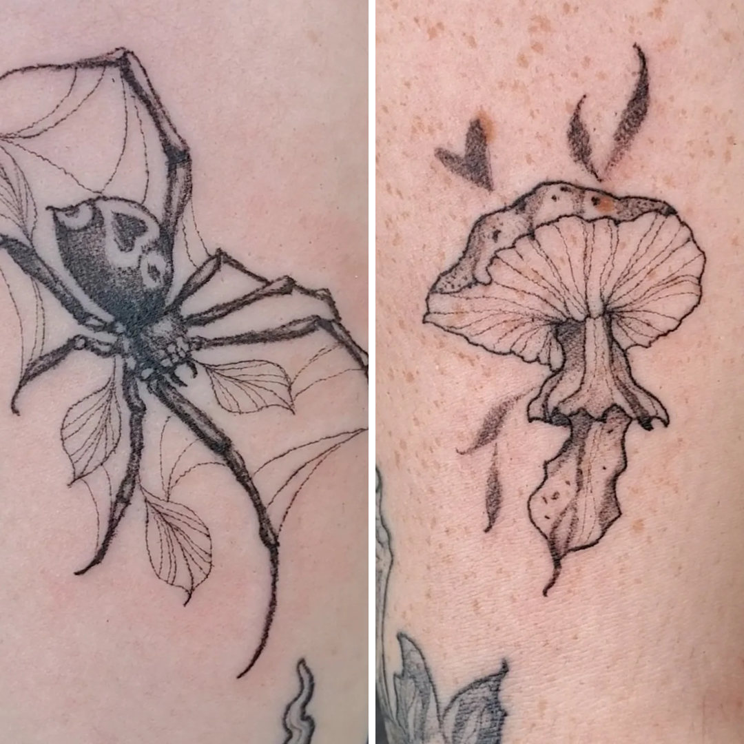 Spider and Mushroom Addons — Jess Adlaide