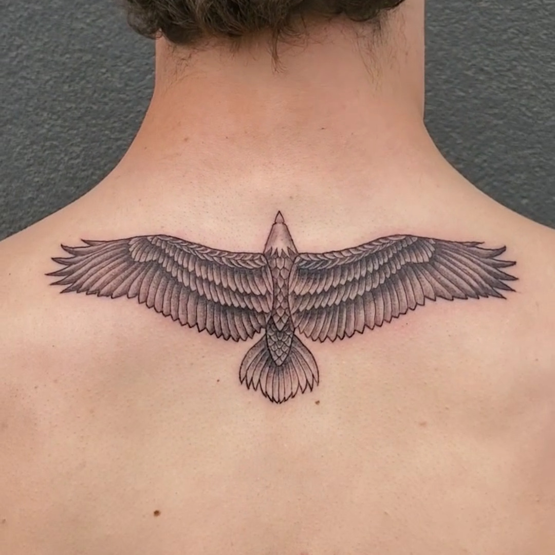 Eagle — Cody Morin Guest Artist