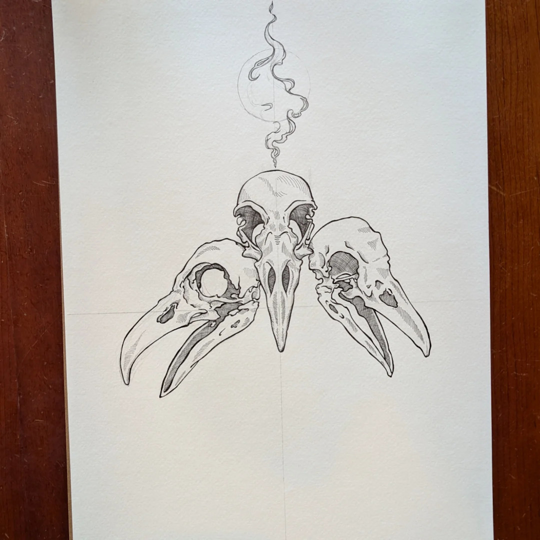 Bird Skulls — Danny Cattington