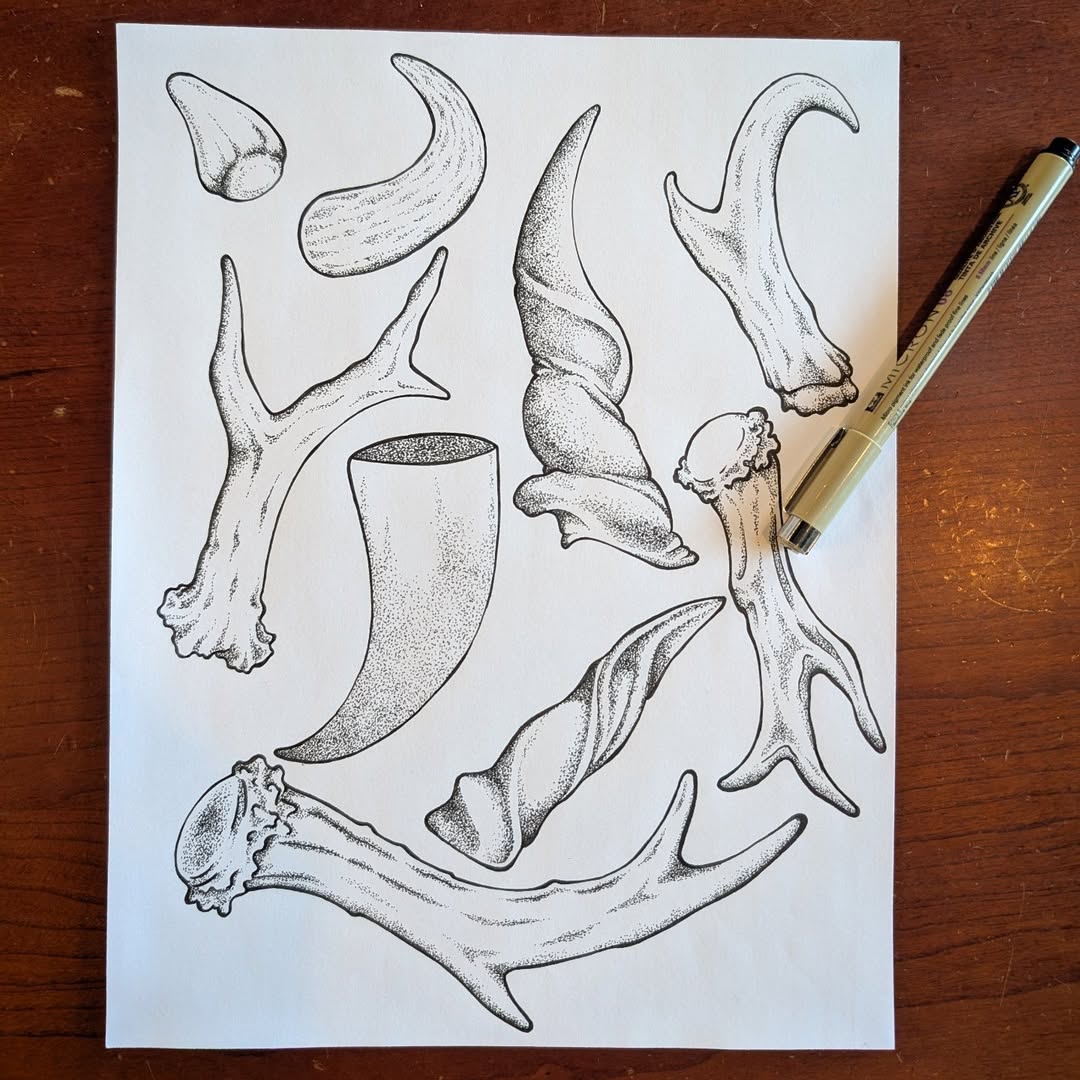 Horns and Antlers Flash — Danny Cattington