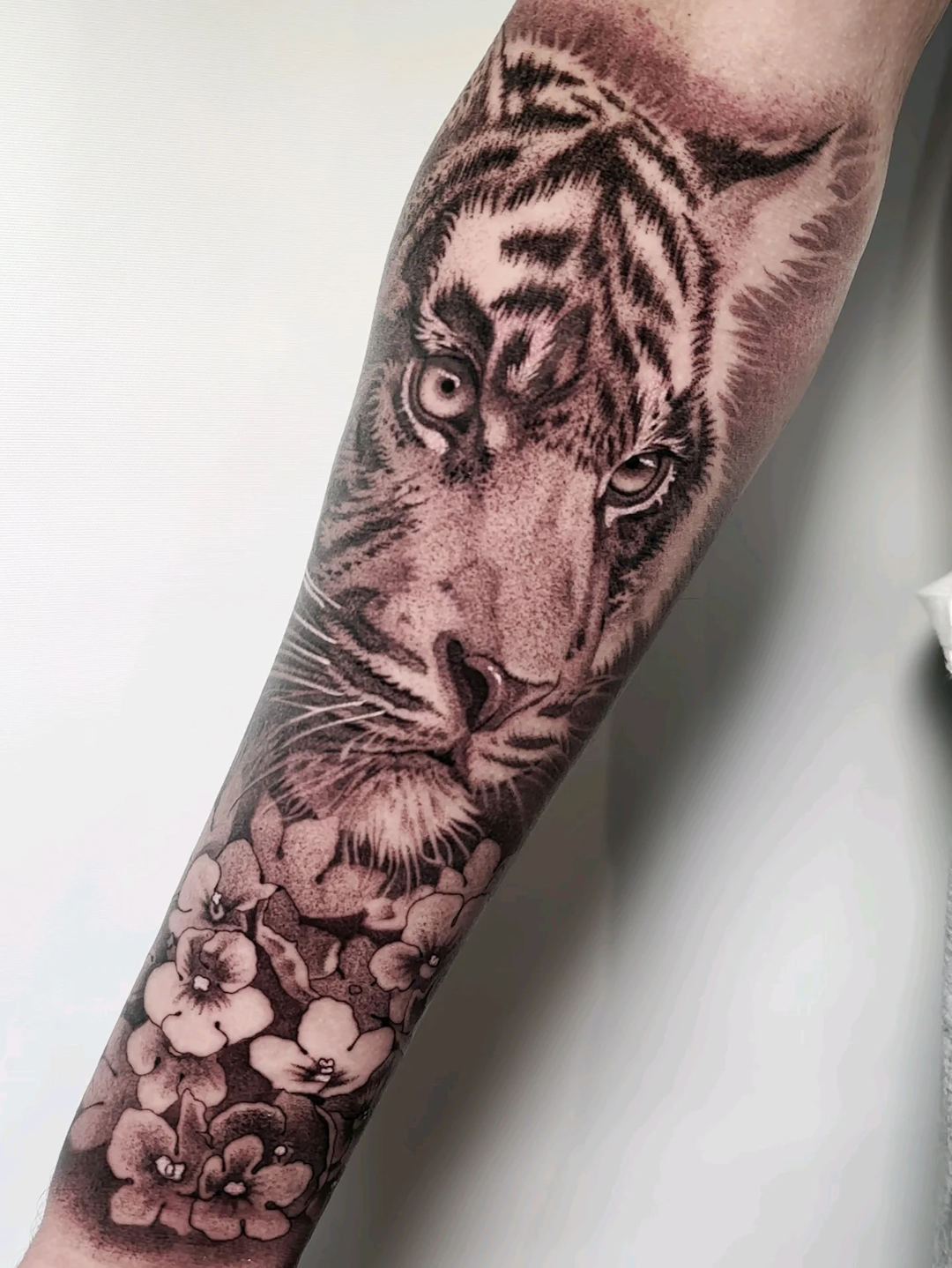 Dmitriy Stankov — Guest Artist Dmitriy Stankov — Guest Artist