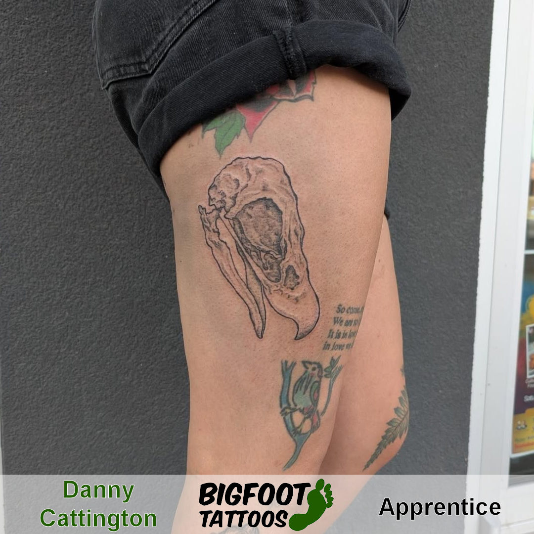 Bird Skull Tattoo — Danny Cattington Bird Skull Tattoo — Danny Cattington