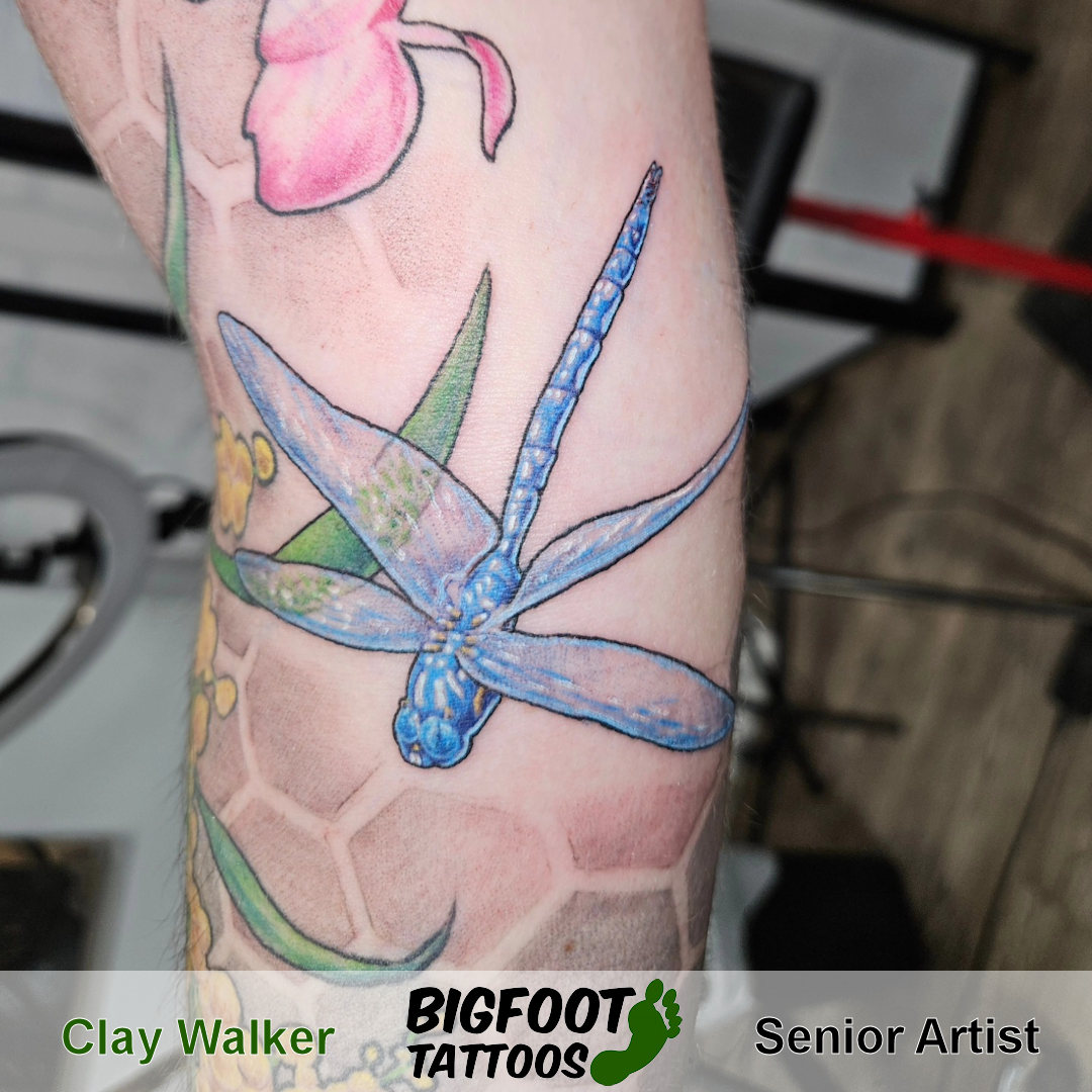 Blue Dragonfly Tattoo — Clay Walker Blue Dragonfly Tattoo — Clay Walker