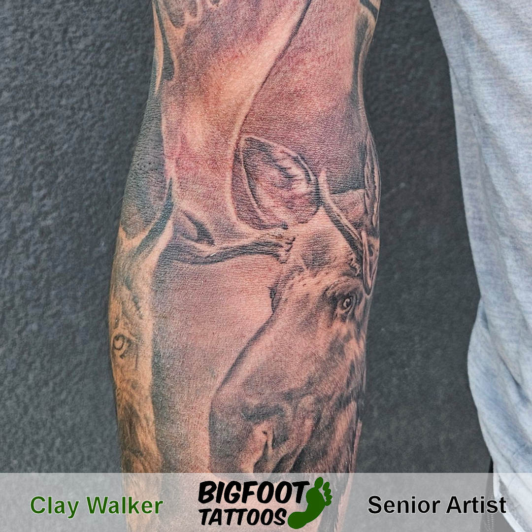 Moose Add-on — Clay Walker