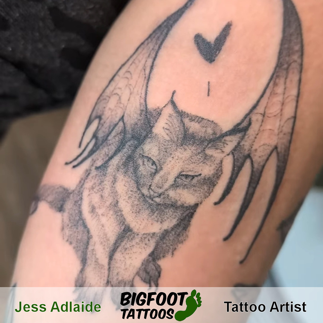 Cat from Flash — Jess Adlaide Cat from Flash — Jess Adlaide