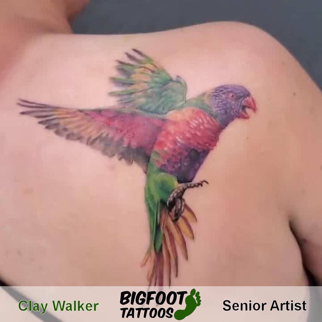 Rainbow Lorikeet Tattoo — Clay Walker