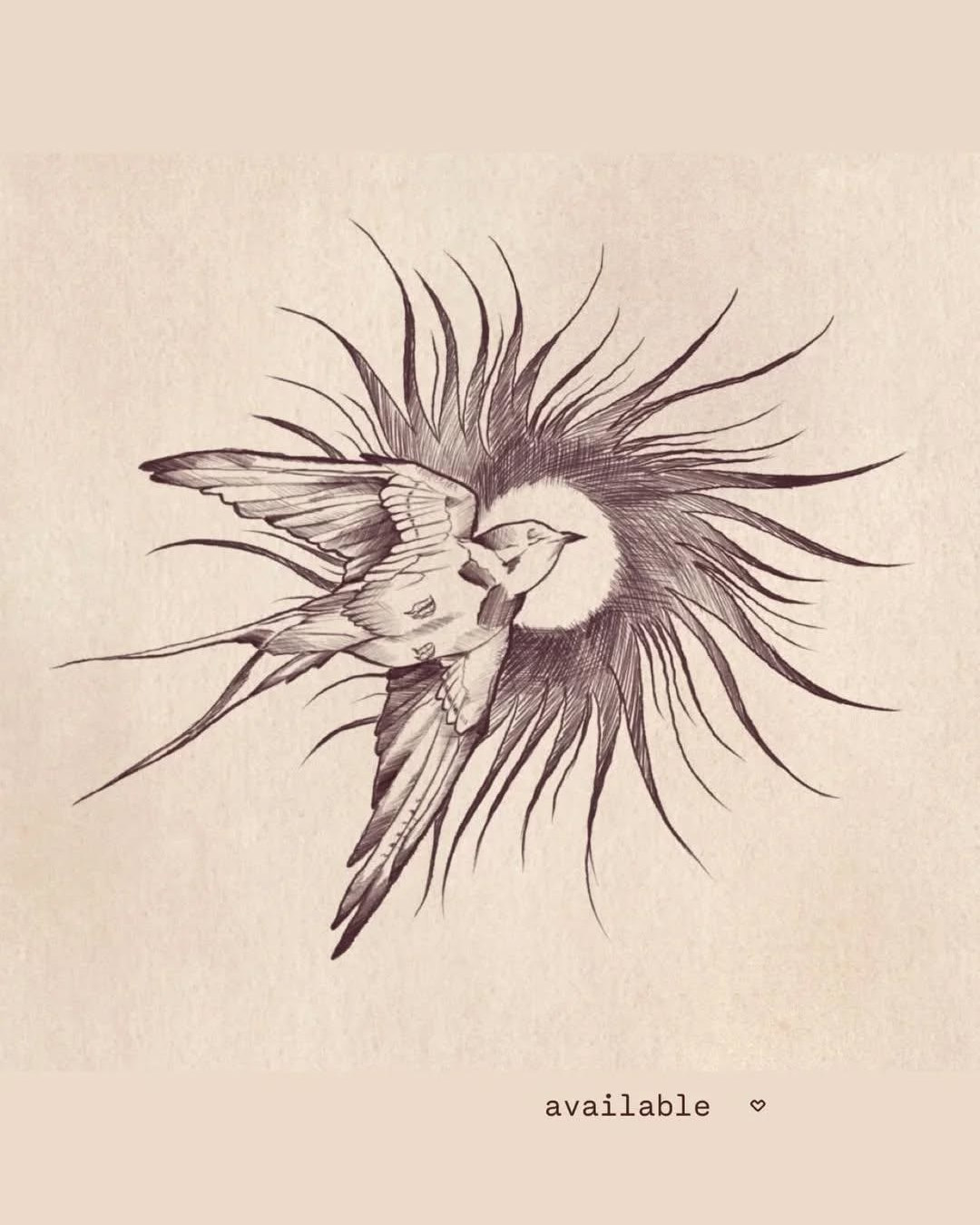 Bird Flash β Jess Adlaide Bird Flash β Jess Adlaide