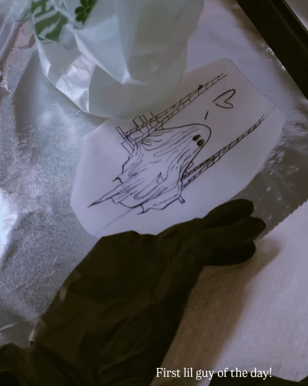 First Lil Guy of the Day — Jess Adlaide